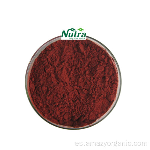 Polvo de extracto de rábano rojo orgánico color rojo rábano